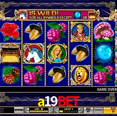 a19bet Rio de Janeiro - Bonus Terms